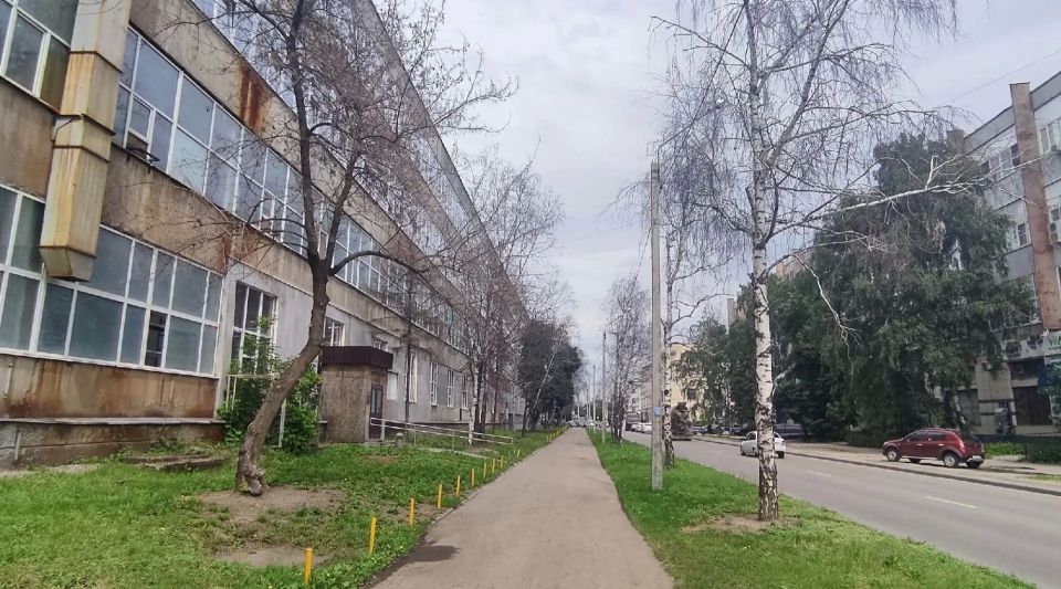 Пензе управление ЖКХ написало заявление в полицию, проверив деревья в сквере у «Электромеханики» на Южной поляне Пензе управление ЖКХ написало заявление в полицию, проверив деревья в сквере у «Электромеханики» на Южной поляне