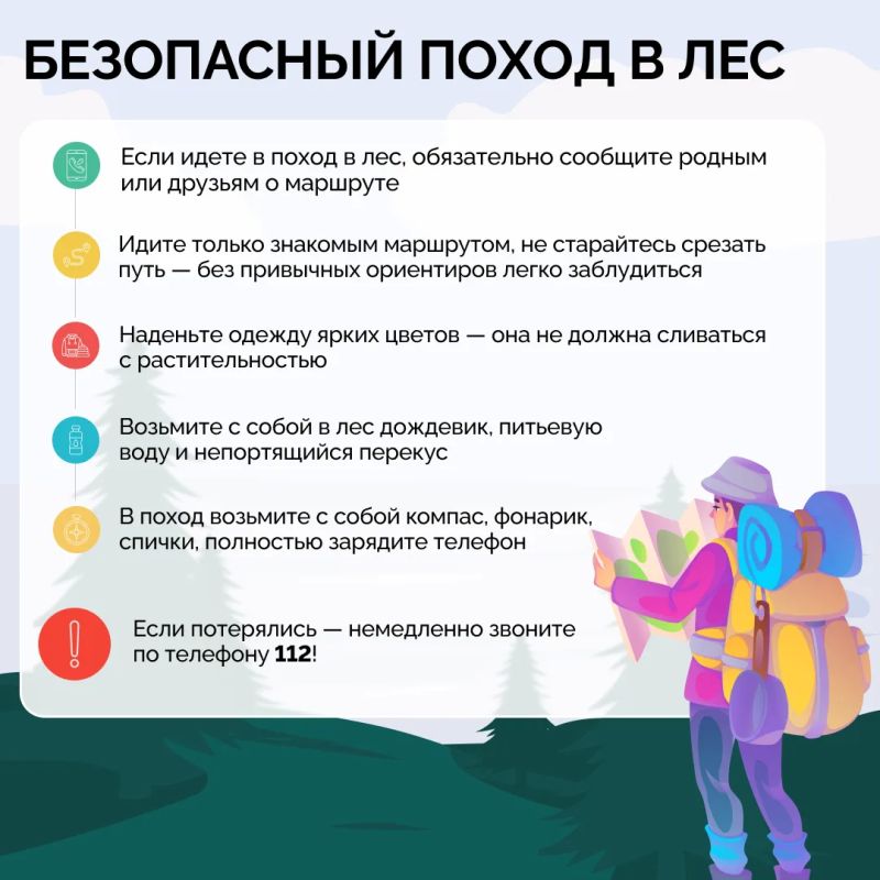 Собираетесь в лес — за грибами, ягодами или просто подышать свежим воздухом?