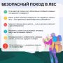 Собираетесь в лес — за грибами, ягодами или просто подышать свежим воздухом?