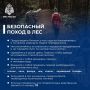 Как подготовиться к походу в лес?