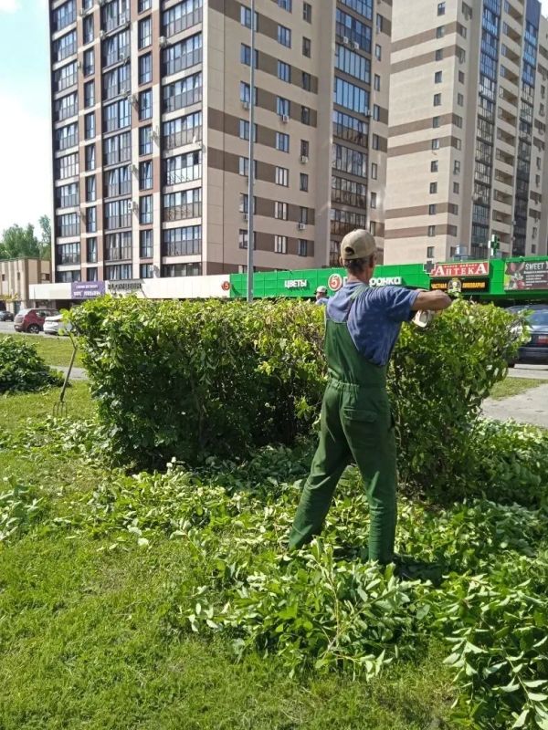Наши специалисты проводят стрижку кустарников в рамках программы по благоустройству и поддержанию дорожной инфраструктуры Наши специалисты проводят стрижку кустарников в рамках программы по благоустройству и поддержанию дорожной инфраструктуры