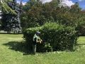 ���� ����������� �������� ������� ����������� � ������ ��������� �� ��������������� � ����������� �������� ��������������