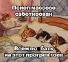 Дмитрий Стешин: Можно рассмотреть события последних суток, как военно-пропагандистскую операцию противника