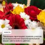 Пензенцев приглашают принять участие во всероссийской благотворительной акции «Дети вместо цветов»