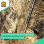 � ���� ������� ����� � ��������� ��������������� ������ ���������� ������� �������� ����������� ������ ������������� ����