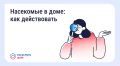 ��������� ���������, ������, �������� ��� ������ � �������� � �������� � ����������, �� ���������� ��������