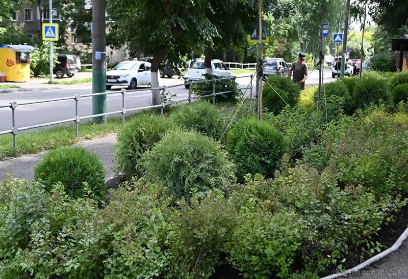 В Пензе озеленили входную зону зоопарка В Пензе озеленили входную зону зоопарка