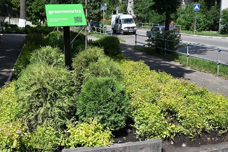 В Пензе озеленили входную зону зоопарка В Пензе озеленили входную зону зоопарка