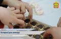 Кто не любит шоколад? Этот десерт способен поднять настроение и зарядить энергией
