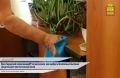 Чувствительная кожа — это не тип, а состояние, которое может проявиться у каждого