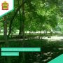 Масштабные преобразования стартовали в одном из любимых мест отдыха кузнечан — парке «За мороженым»