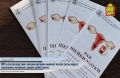 Вирус папилломы человека (ВПЧ) — самая распространенная инфекция, передающаяся половым путем
