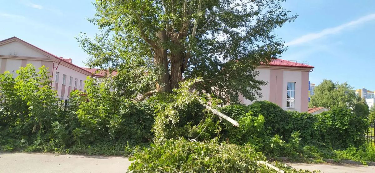 На улице Пугачева в Пензе на парковку вдоль забора училища олимпийского резерва упала крупная ветка и перекрыла несколько парковочных мест, сообщает местная жительница На улице Пугачева в Пензе на парковку вдоль забора училища олимпийского резерва упала крупная ветка и перекрыла несколько парковочных мест, сообщает местная жительница