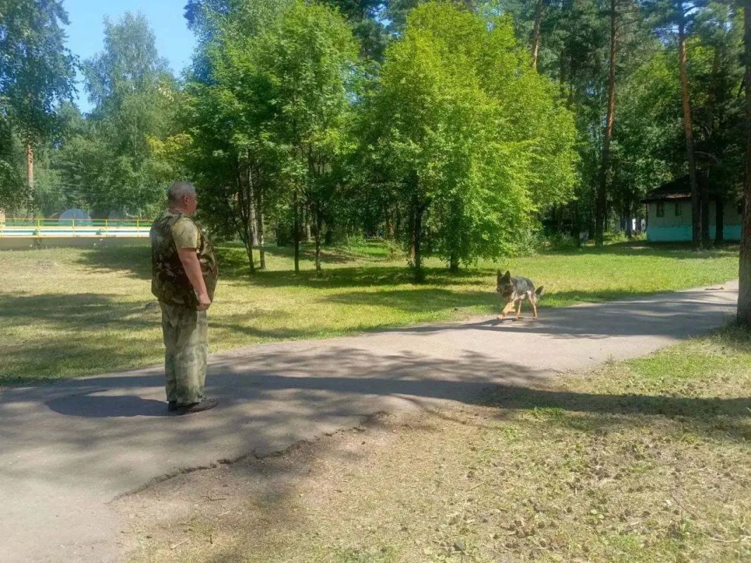 Пензенские полицейские и общественники провели для детей профилактическое мероприятие в рамках акции «Каникулы с Общественным советом» Пензенские полицейские и общественники провели для детей профилактическое мероприятие в рамках акции «Каникулы с Общественным советом»