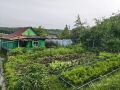 «Дежурный врач»: почему дачникам нужно регулярно проходить диспансеризацию