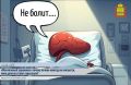 У нашего тела есть свой встроенный будильник
