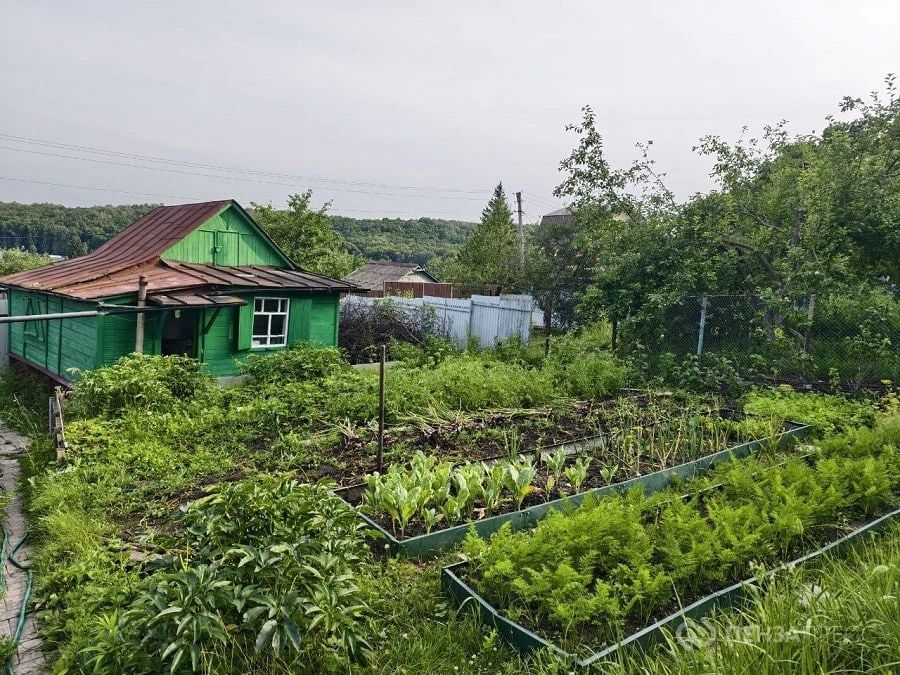 «Дежурный врач»: почему дачникам нужно регулярно проходить диспансеризацию