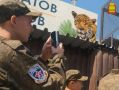 Кроме занятий по военно-прикладным дисциплинам и спортивных состязаний для участников юнармейских сборов ПФО «Гвардеец» подготовлена обширная культурная программа