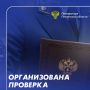 Прокуратура Ленинского района г. Пензы организовала проверку по факту смерти мужчины на Олимпийской аллее