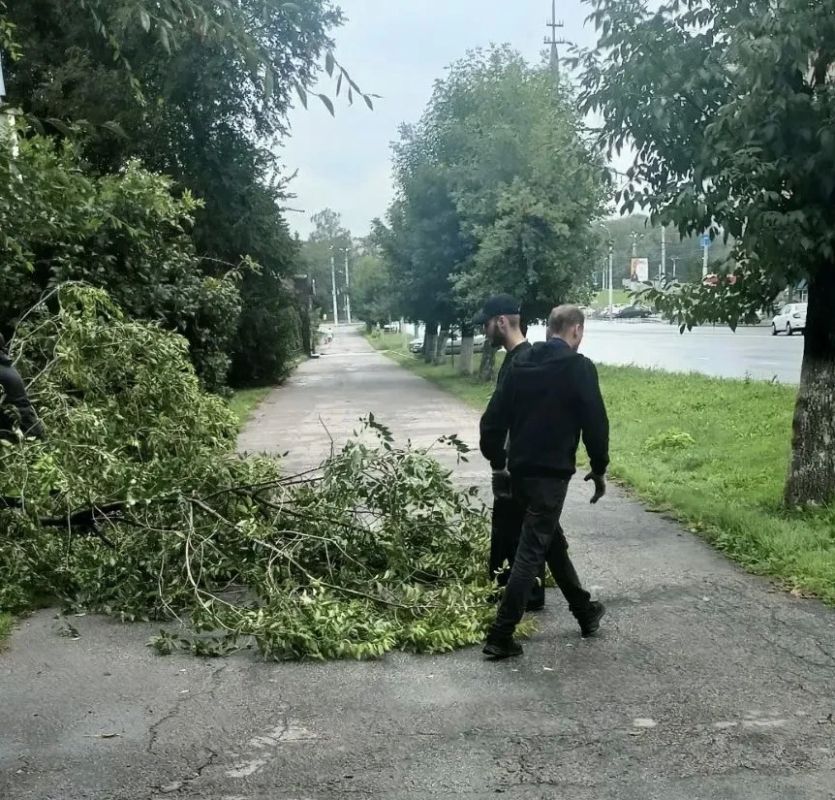 Олег Денисов: Шквальный ливень затянул в ливневки мусор, листья, веточки Олег Денисов: Шквальный ливень затянул в ливневки мусор, листья, веточки