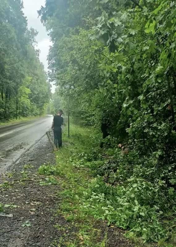 Олег Денисов: Шквальный ливень затянул в ливневки мусор, листья, веточки Олег Денисов: Шквальный ливень затянул в ливневки мусор, листья, веточки