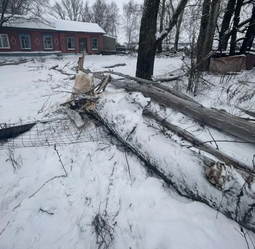 В Наровчатском районе мужчина признан виновным в причинении смерти по неосторожности