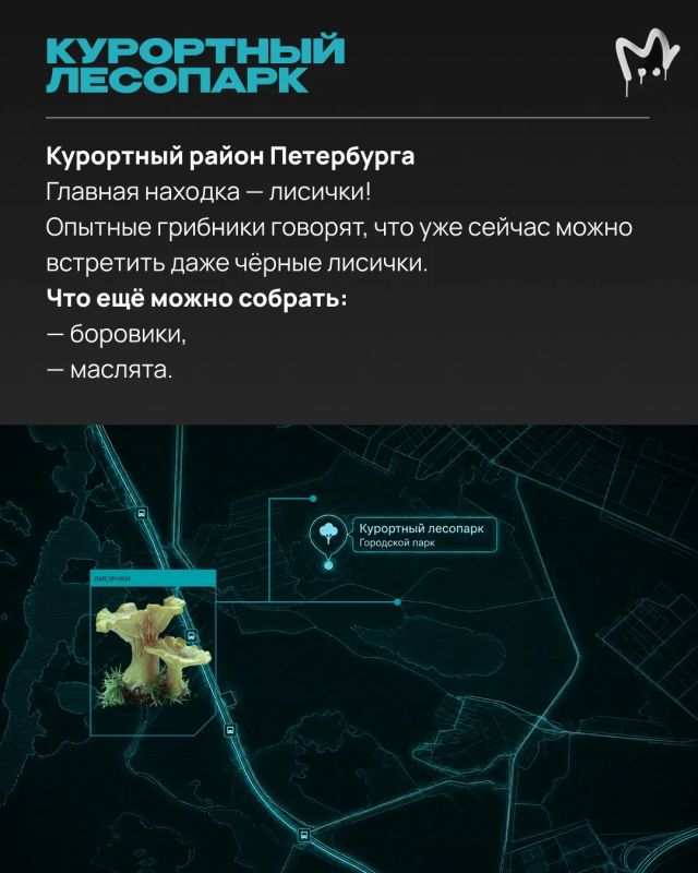 Грибники, как улов? Самыми урожайными полянками делиться не принято — но мы не жадины, узнали всё у опытных грибников и дарим вам Грибники, как улов? Самыми урожайными полянками делиться не принято — но мы не жадины, узнали всё у опытных грибников и дарим вам