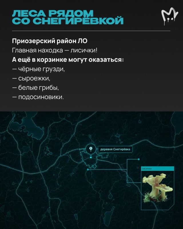 Грибники, как улов? Самыми урожайными полянками делиться не принято — но мы не жадины, узнали всё у опытных грибников и дарим вам Грибники, как улов? Самыми урожайными полянками делиться не принято — но мы не жадины, узнали всё у опытных грибников и дарим вам