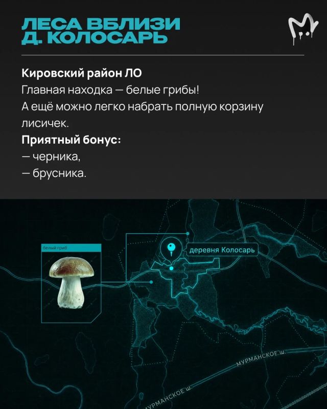 Грибники, как улов? Самыми урожайными полянками делиться не принято — но мы не жадины, узнали всё у опытных грибников и дарим вам Грибники, как улов? Самыми урожайными полянками делиться не принято — но мы не жадины, узнали всё у опытных грибников и дарим вам