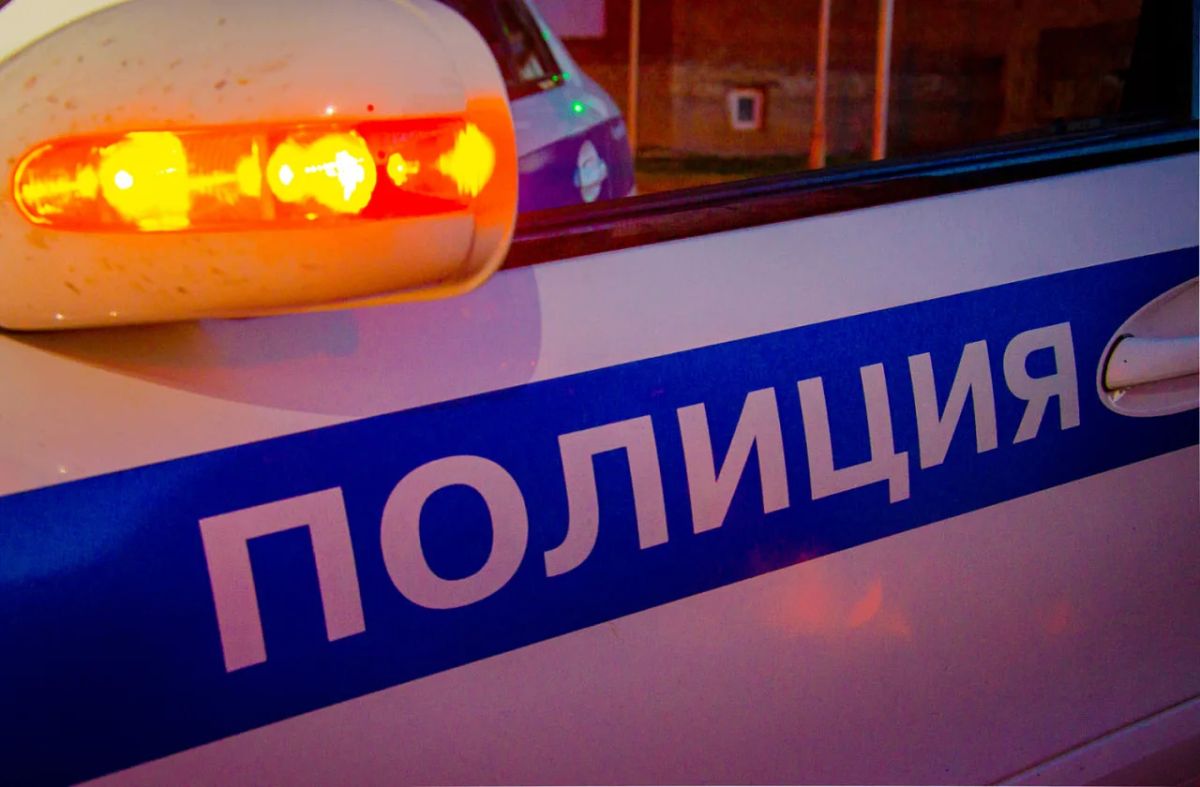 В Пензе по горячим следам задержали скрывавшегося от правосудия фигуранта уголовного дела