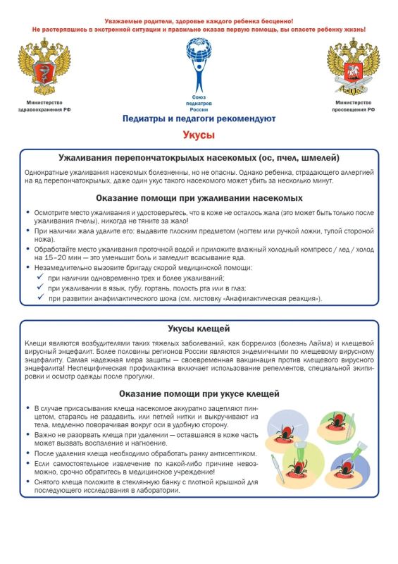 Прогулка в лесу, дачные работы или поездка на море Прогулка в лесу, дачные работы или поездка на море