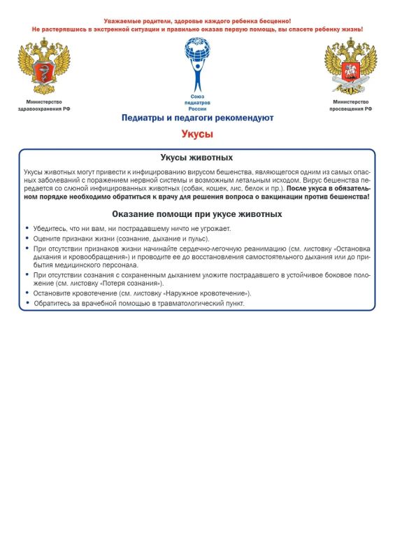 Прогулка в лесу, дачные работы или поездка на море Прогулка в лесу, дачные работы или поездка на море