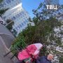 ������� � �������� ���������� ������� �� ���������� � ������� � ����-�������