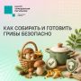 #���58_�����������. ������� ����� � �������: �������� ��������� ����� �� ������� ����� ����������� �� ������ ������ ��������, �� � �����������, ���� ������������ ��������� ����� � �������������
