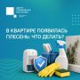 #���58_�����������. ������� � �������� � �� ������ ��������, ������� ����������� ������ ������ �������������� ��� ����� ��������� ��-�� ��������, ����������� ����, ������ ���������� ��� �������������� ����������� ������