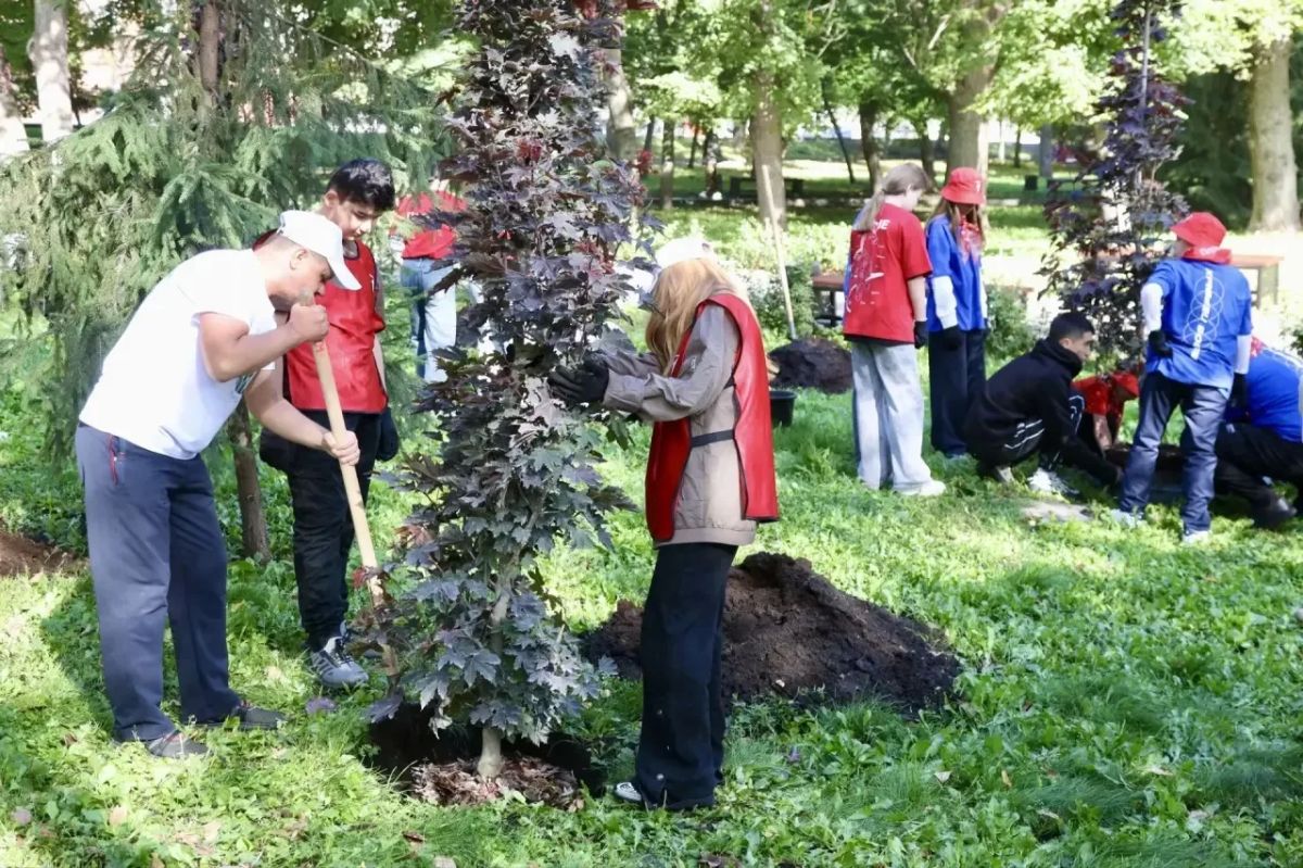 Олег Мельниченко: Дали старт осеннему этапу масштабного экологического проекта «Зеленая Пенза», в рамках которого весной высадили в нашем любимом городе 5 тысяч деревьев и кустарников Олег Мельниченко: Дали старт осеннему этапу масштабного экологического проекта «Зеленая Пенза», в рамках которого весной высадили в нашем любимом городе 5 тысяч деревьев и кустарников
