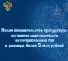 Прокуратура Октябрьского района города Пензы по результатам проверки установила, что одна из управляющих компаний своевременно не производила оплату за потребленный природный газ