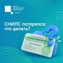 #���58_����������� . �������� �����? ������ ����� ����� ������ ����������� �������� ����� �� �������� � 2019 ����, ������� ��������������� ���������� �������� �� �����
