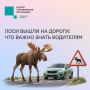 #ЦУР58_информирует. Лоси вышли на дороги: что важно знать водителям В Пензенской области начался период гона лосей