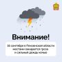 Сотрудники пензенского управления МЧС предупреждают жителей региона, что 16 сентября в Пензенской области местами ожидается гроза и сильный дождь ночью