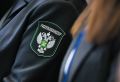 В Самарской области пресечена массовая торговля нелегальными ветпрепаратами