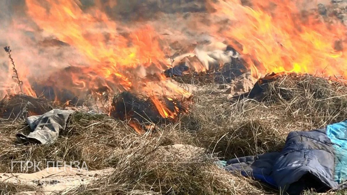 В Пензе прошли пожарнотактические учения МЧС: в город приехали заместители территориальных органов из 14 регионов ПФО — чтобы отработать навыки и обменяться опытом В Пензе прошли пожарнотактические учения МЧС: в город приехали заместители территориальных органов из 14 регионов ПФО — чтобы отработать навыки и обменяться опытом
