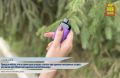 Сладкий запах жвачки, густые облака «дыма» и отсутствие едкого запаха табака на одежде — индустрия вейпинга создала образ безопасной альтернативы традиционному курению