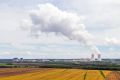 В Самарской области в оборот вернули свыше 770 га сельхозземель
