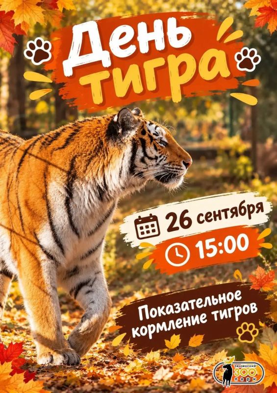 День тигра в Пензенском зоопарке!
