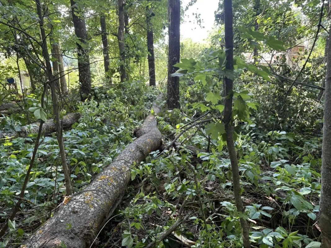 Жителю Пензы вынесен приговор за причинение смерти по неосторожности