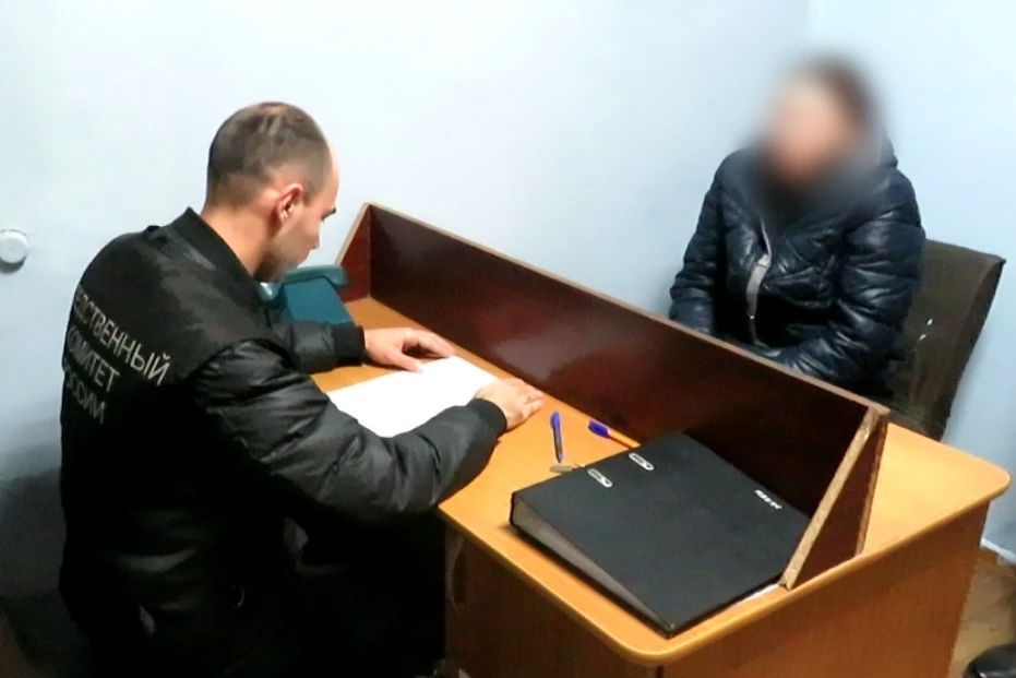 Жительница Мокшанского района арестована за убийство сожителя