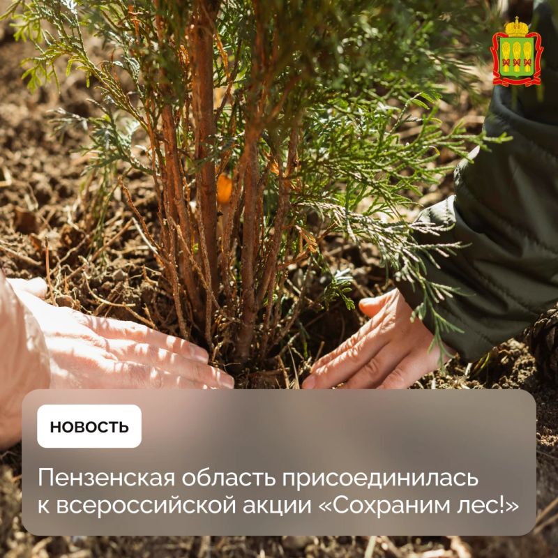 Пензенская область присоединилась к всероссийской акции «Сохраним лес!»