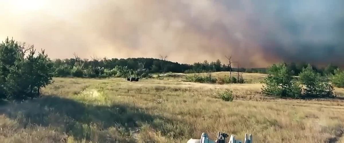 Сухая трава кажется безобидной, но одна искра может обернуться большой бедой