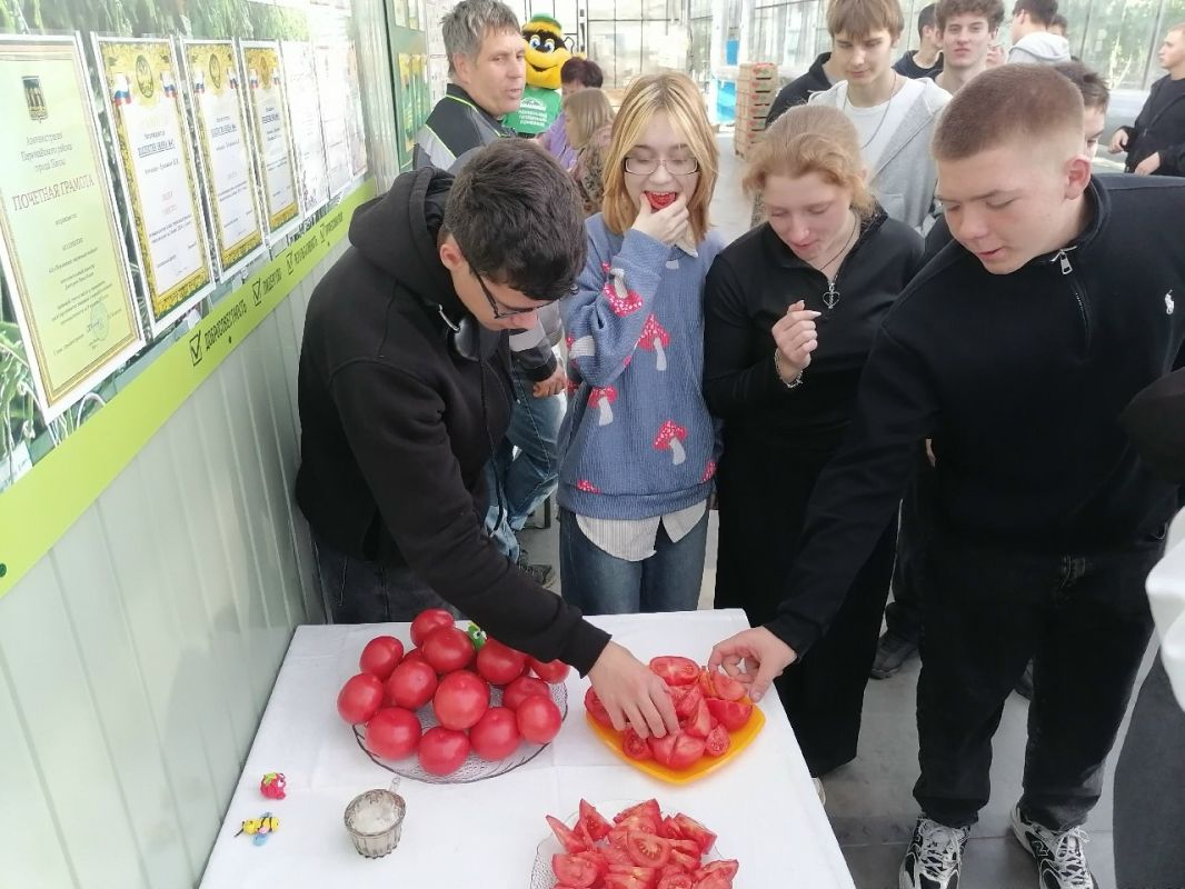Депутаты Молодежного парламента организовали экскурсию для студентов на Пензенский тепличный комбинат Депутаты Молодежного парламента организовали экскурсию для студентов на Пензенский тепличный комбинат